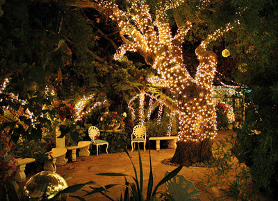 Why You Need Outdoor Lighting for Your Summer Celebration